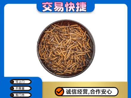 禹城市高价回收散虫草